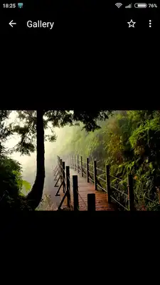 Play Bridge Wallpapers HD