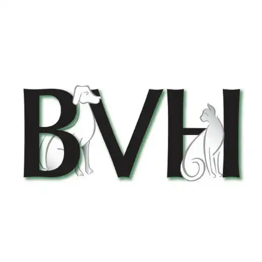 Play Bridgewater Veterinary Hospital APK Play Bridgewater Veterinary Hospital APK