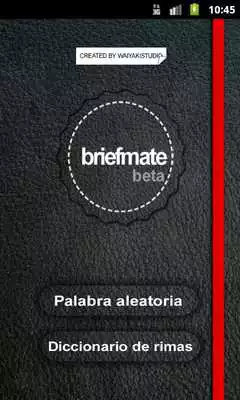 Play BriefMate