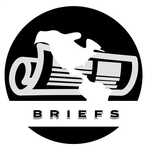 Play Briefs - One Liner News APK Play Briefs - One Liner News APK