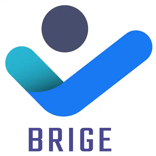 Play Brige APK
