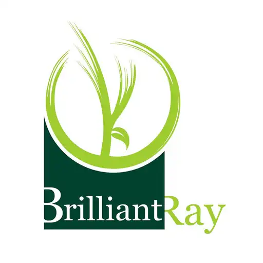 Play BRILLIANT RAY ENGLISH SCHOOL APK
