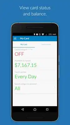Play Brinks Business Expense