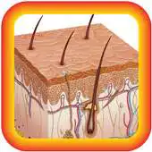 Free play online Brite Lite APK