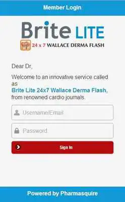 Play Brite Lite Play Brite Lite