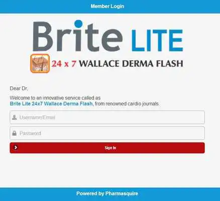 Play Brite Lite Play Brite Lite