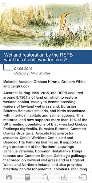 Play British Birds Online as an online game British Birds Online with UptoPlay