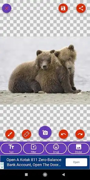 Play Brown Bear, Panda, Polar Bear, Red Panda Wallpaper as an online game Brown Bear, Panda, Polar Bear, Red Panda Wallpaper with UptoPlay