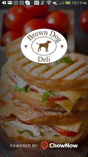 Play Brown Dog Deli  and enjoy Brown Dog Deli with UptoPlay