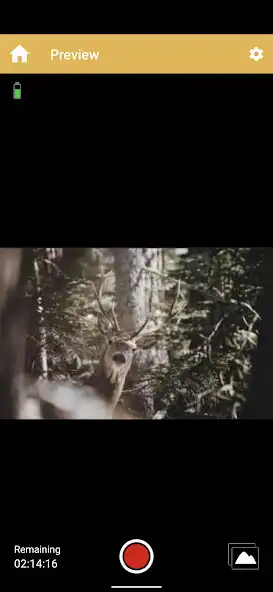 Play Browning-Aspect Cam as an online game online Browning-Aspect Cam with UptoPlay Play Browning-Aspect Cam as an online game Browning-Aspect Cam with UptoPlay