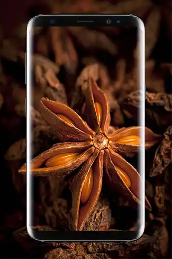 Play Brown Wallpaper HD as an online game online Brown Wallpaper HD with UptoPlay com.Agroplansoft.BrownWallpaperxxxx Play Brown Wallpaper HD as an online game Brown Wallpaper HD with UptoPlay