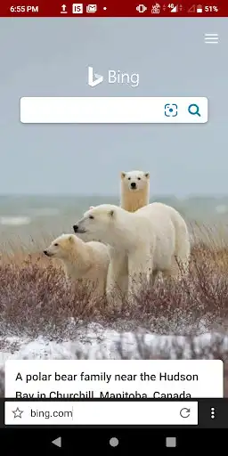 Play Browserzilla - Light & Fast as an online game Browserzilla - Light & Fast with UptoPlay