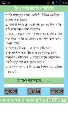 Play BRRI Rice Varieties Bangladesh Play BRRI Rice Varieties Bangladesh