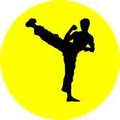 Free play online Bruce Lee the Dragon Quotes APK Free play online Bruce Lee the Dragon Quotes APK