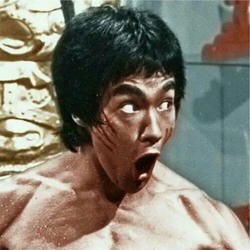 Play Bruce Lee Wallpaper 4K APK