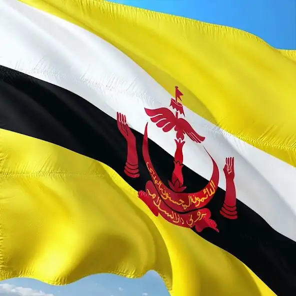 Play Brunei Flag Wallpapers as an online game online Brunei Flag Wallpapers with UptoPlay Play Brunei Flag Wallpapers as an online game Brunei Flag Wallpapers with UptoPlay
