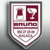 Free play online BRUNO CCTV APK