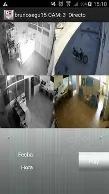 Play BRUNO CCTV