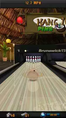 Play Brunswick Pro Bowling Play Brunswick Pro Bowling