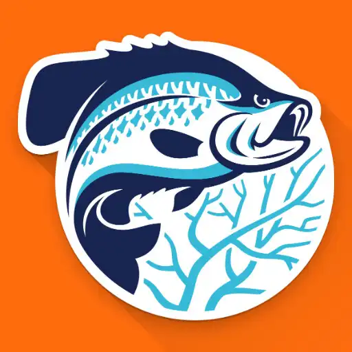 Play BrushPile Fishing APK