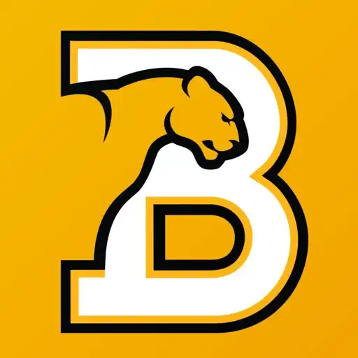 Play BSC Sports APK