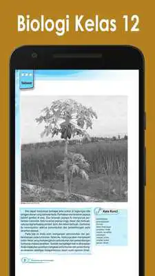 Play BSE Biologi Kelas 12 SMA/MA