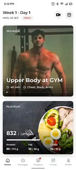 Play BSF gym as an online game BSF gym with UptoPlay