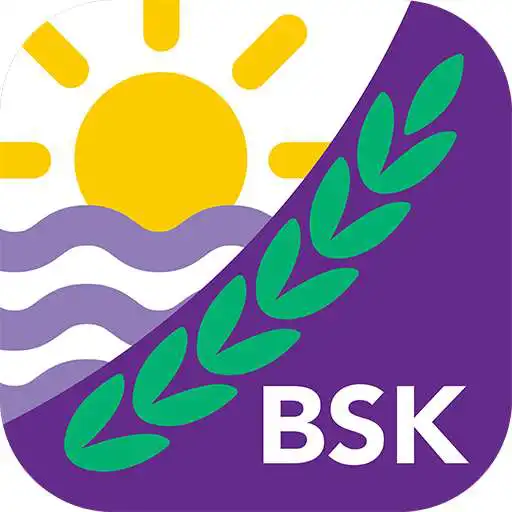 Play BSK Parent APK