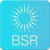 Free play online BSR 2017 APK