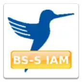 Free play online BS-S IAM for SAP APK