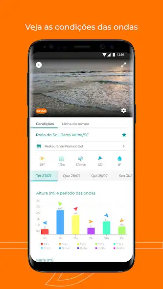 Play bSurf as an online game bSurf with UptoPlay