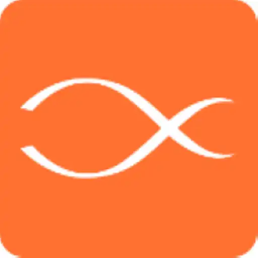 Play BT Food thermometer APK