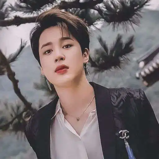 Play BTS JIMIN KEYBOARD APK