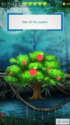 Play BTS Jungle