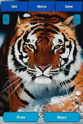 Play BTS Live Wallpaper