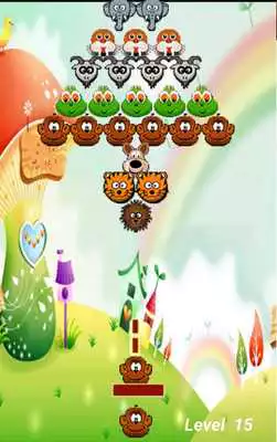 Play Bubble Animals Play Bubble Animals