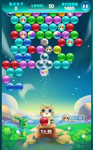 Play Bubble Cat