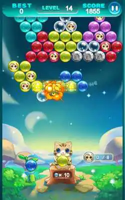 Play Bubble Cat