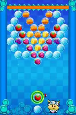 Play Bubble Fruits