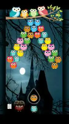 Play bubble owl cute v2 Play bubble owl cute v2