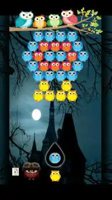 Play bubble owl cute v2 Play bubble owl cute v2