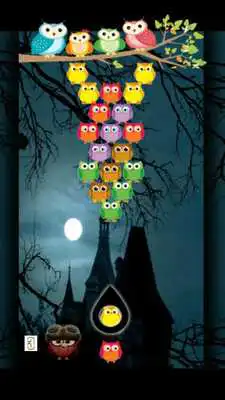 Play bubble owl cute v2 Play bubble owl cute v2