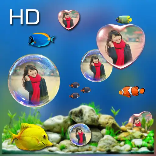 Play Bubble photo live wallpaper with aquarium APK