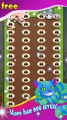 Play Bubble Safari ZOO