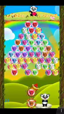 Play Bubble Shooter Bear