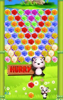 Play Bubble Shooter Rose