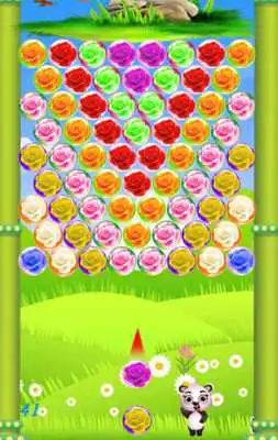 Play Bubble Shooter Rose