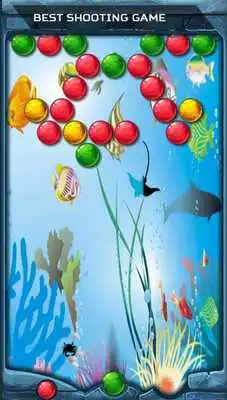 Play Bubble Struggle Shooter See
