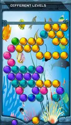 Play Bubble Struggle Shooter See