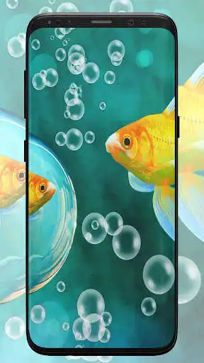 Play Bubbles Wallpapers  and enjoy Bubbles Wallpapers with UptoPlay